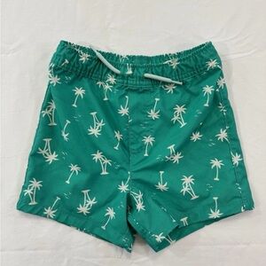Wonder Nation Boys 2T Swim Suit Green With Palm Trees